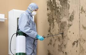 Mold Remediation for Rental Properties in Meadow Lake, NM